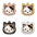 Cute Personalized Cat Tags Stainless Steel Colored Pattern Pets Cat Name Tags Pendant Engraved Keyring Kitten Accessories