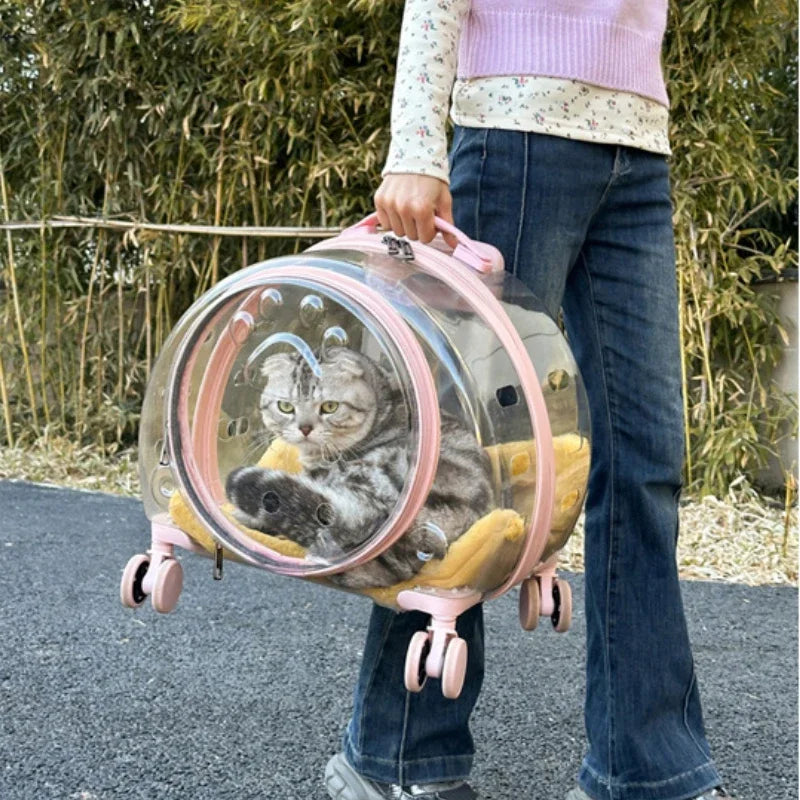 Transparent Pet Travel Carrier Portable Trolley Suitcase for Cats & Small Dogs Durable Pet Transport Case Professional Pet Cart - Play Paws Toys