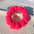 New Soft 3cm Plush Ball Handmade Pet Dog Collar Cartoon Solid Color Cat Necklace Decoration Poodle Samoyed Bichon Accessories