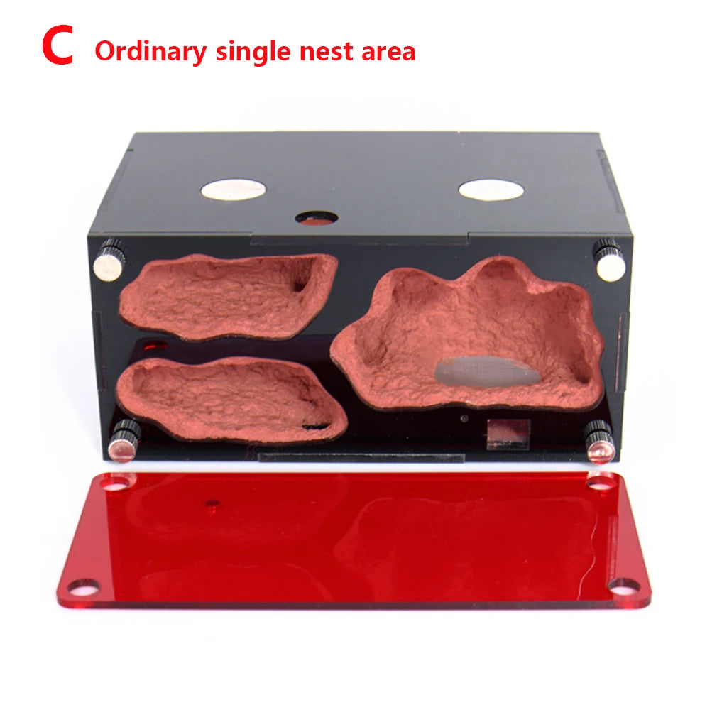 Acrylic Ant Farm Temperature Control Concrete Ant Nest Infinite Expansion Insect House Colony Drinker Anthill Kit Accessories