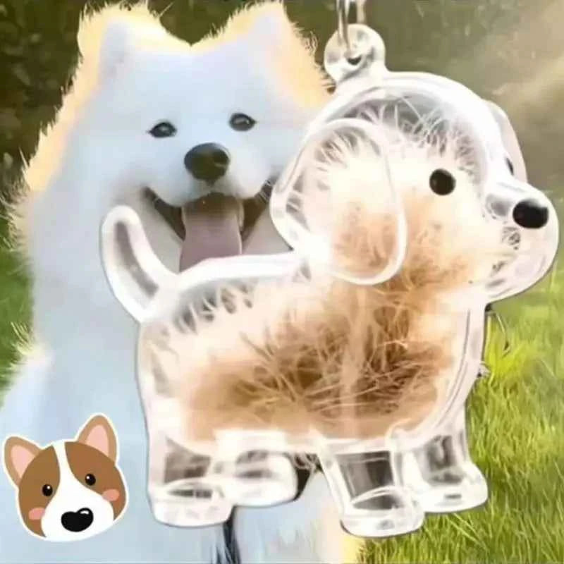 Dog Cat Hair Storage Pendant Keychain Box Couple Car Key Chains Jewelry Souvenir Pet Lover Keepsake Memorial Keychain Gift Decor