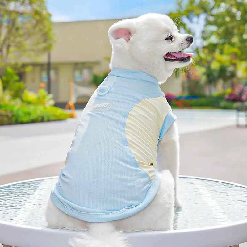 Summer Cooling Vest Thin Pet Dog Clothes Breathable Mesh Dog T Shirt Chihuahua Bichon Dog Clothing Cat Vests Puppy Undershirts