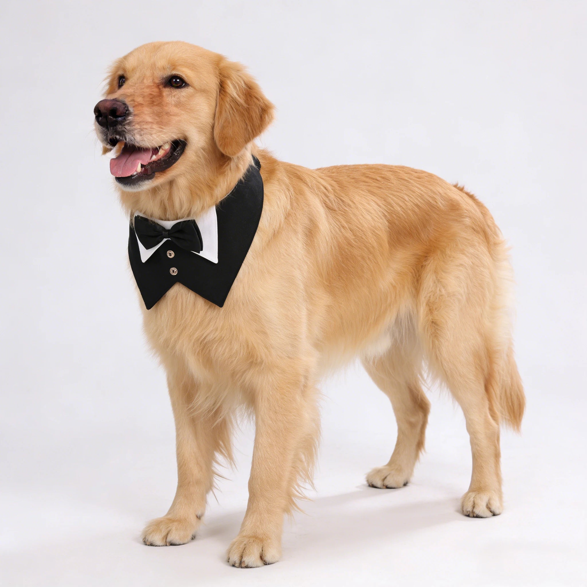 Sucado Dog Tuxedo Suit Bandana, Wedding Birthday Costume Dog Bowtie Collar, Pet Tux Bandana Collar for Small Medium Large Pets