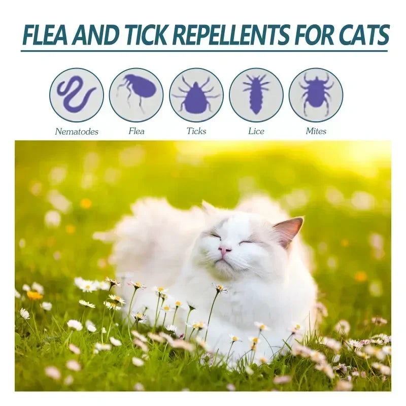 YEGBONG 50ml Pet Flea Tick Repellent for Cat Dogs Topical Parasite Control Skin Cleansing Lice Tick Drops Fast Acting Waterproof
