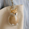 Dog Cat Hair Storage Pendant Keychain Box Couple Car Key Chains Jewelry Souvenir Pet Lover Keepsake Memorial Keychain Gift Decor