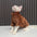 Fashionable Clothes For Cats Sphynx Cat Sweater Kitten Clothing Hound Dog Hoodie Clothes For Sphinx Cat Outfit Pet Jumpsuits - Play Paws Toys