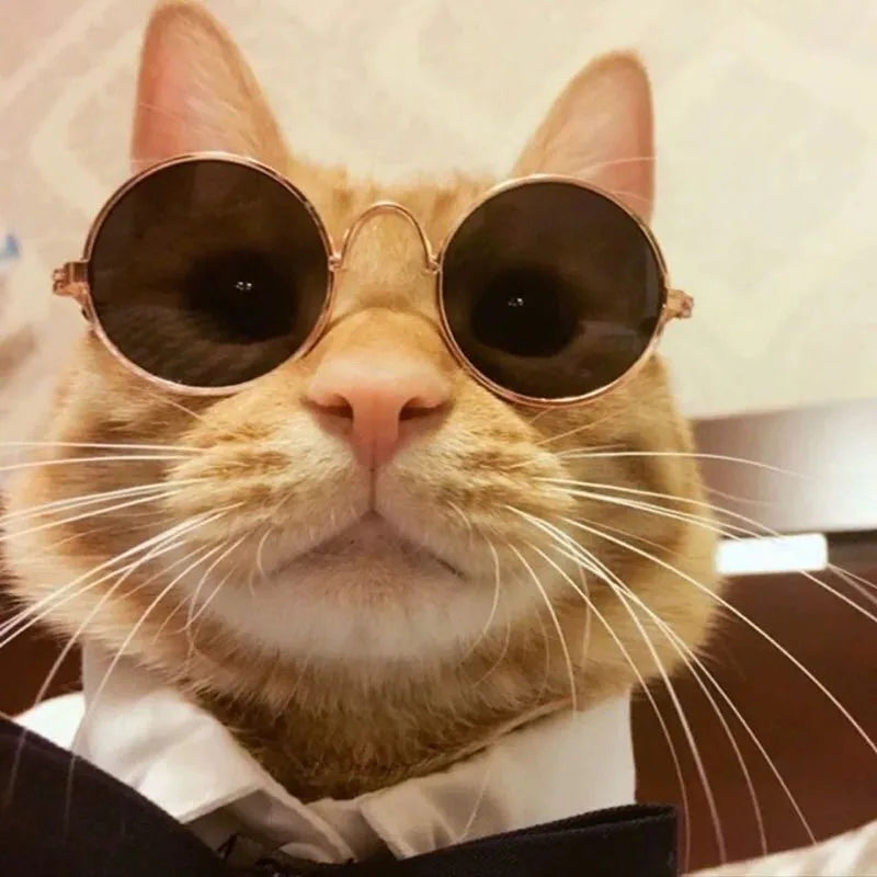 Puppy Dog Sunglasses Anti-skid Round Metal Cat Classic Retro Sunglasses Hippie Cute and Funny Pet Glasses Cosplay Party Costume