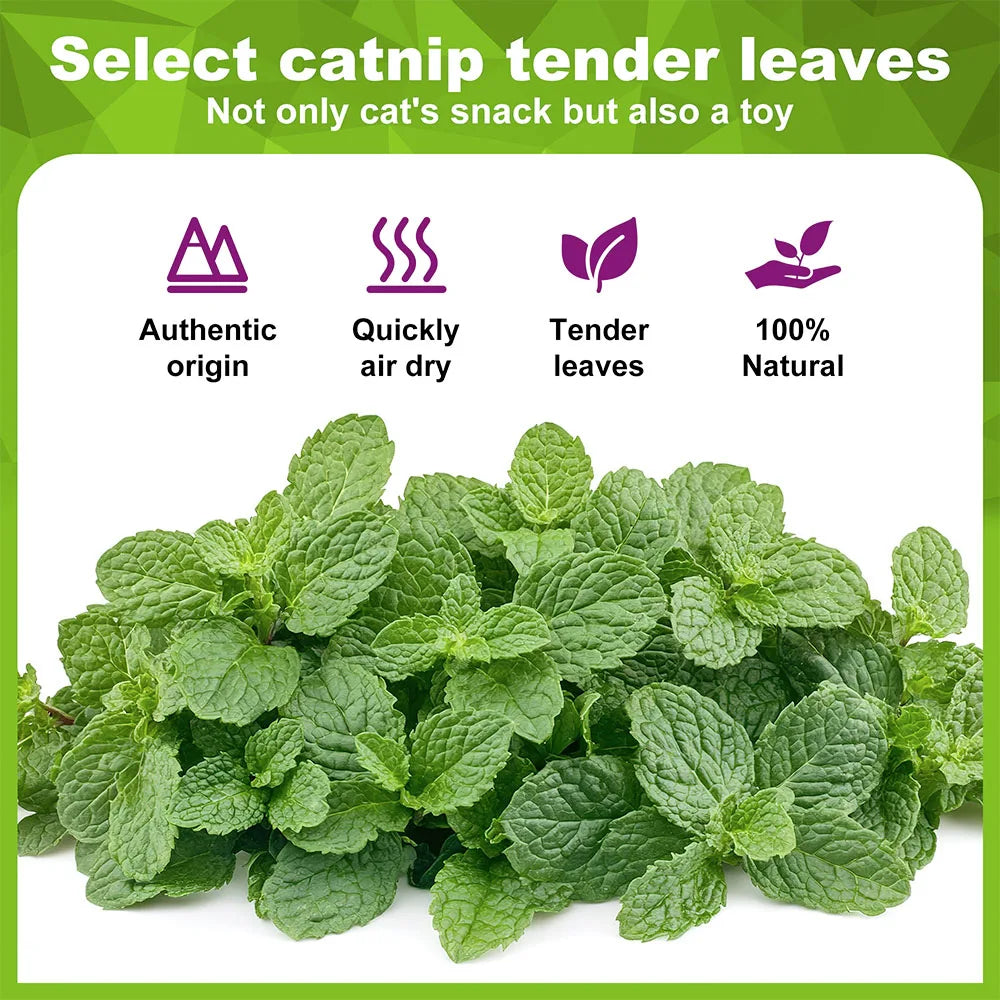 Organic 100% Natural High Quality Catnip Cattle Grass Mint Taste Funny Cat Toy New Cat Toy Interactive Cat Toys Pet Supplies