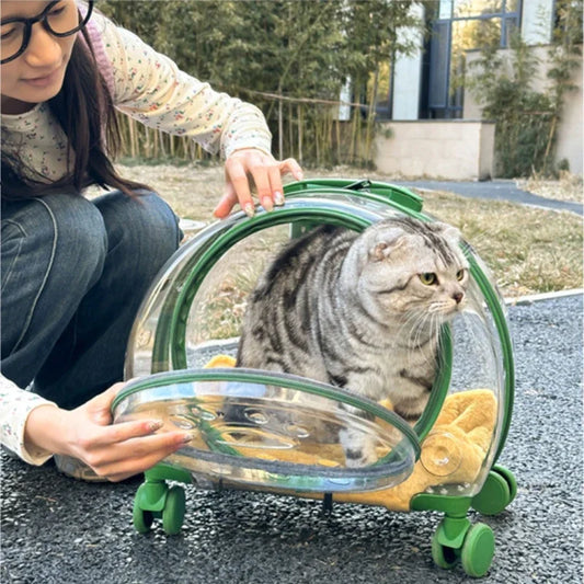Transparent Pet Travel Carrier Portable Trolley Suitcase for Cats & Small Dogs Durable Pet Transport Case Professional Pet Cart - Play Paws Toys
