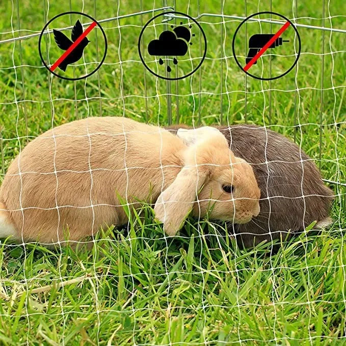 New Pet Protective Cover Cat Dog Net Plastic Nylon Steel Wire Grid Garden Balcony Safety Fall Prevention Netting Pet Products - Play Paws Toys