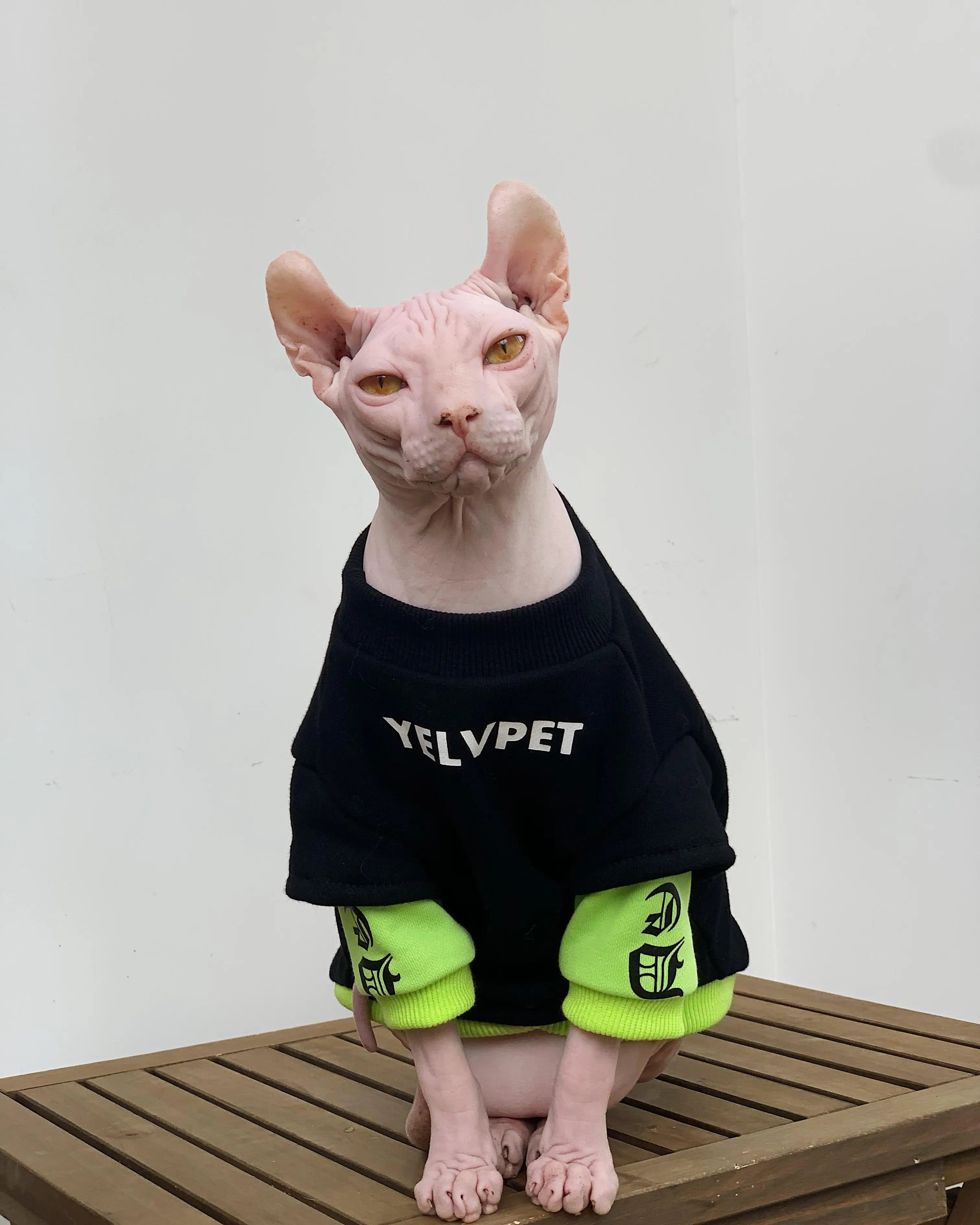 Fashion Cotton Sweatshirt for Sphynx Cat Clothing Winter Thick Long Sleeves Coat For Devon Rex Soft Loungewear For Kittens - Play Paws Toys