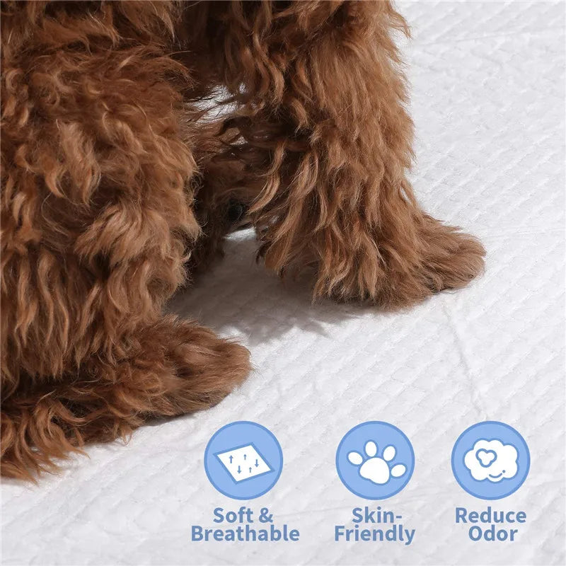 Diapers For Dogs Pet Disposable Nappy Mat Dog Diapers Absorbent Disposable Diapers Absorbent Pet Toilet Cat Disposable Nappy Mat