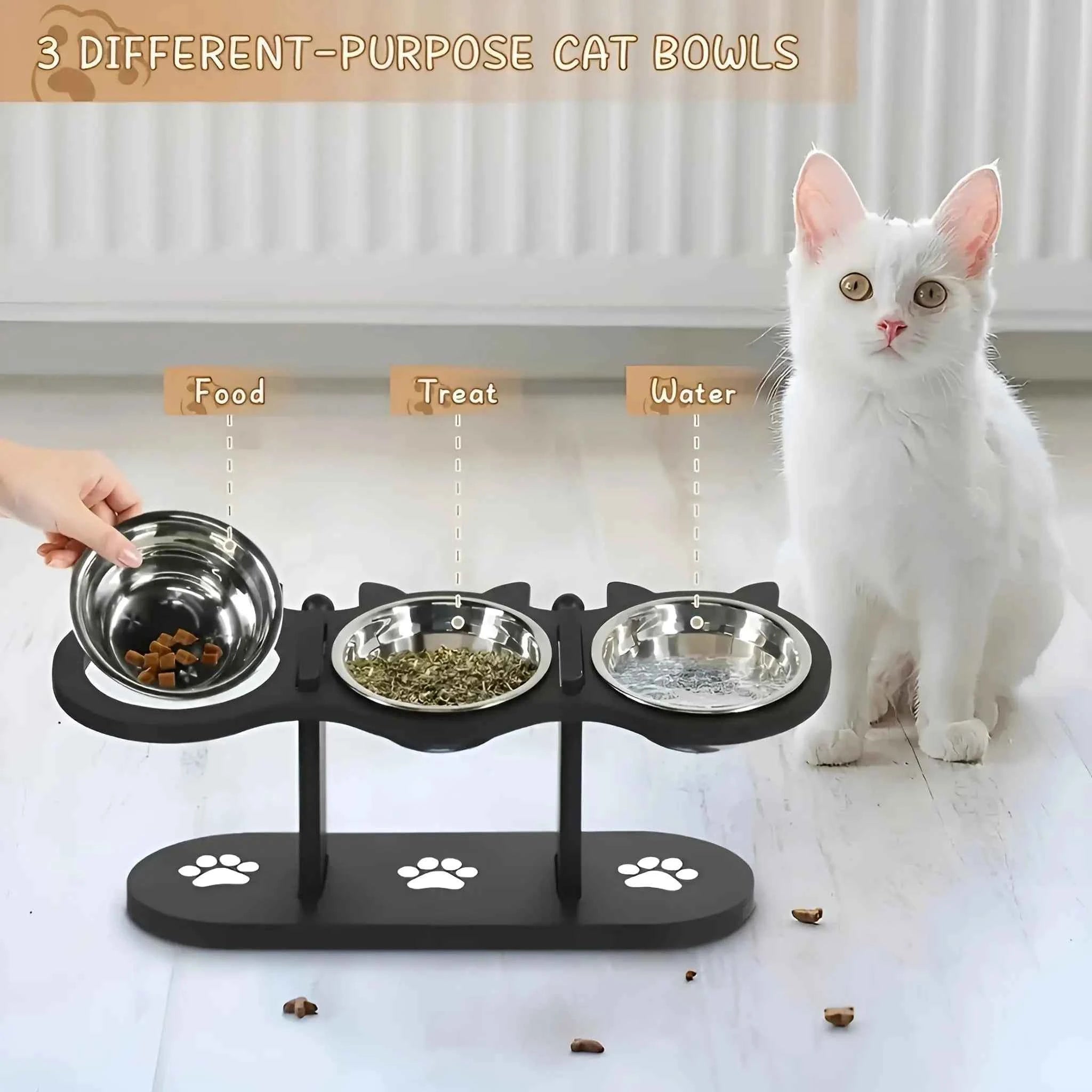 Elevated Cat Food Bowl with Black Wooden Support Frame Stainless Steel Cats Bowls 15° Stand Sloped Feeding & Watering Supplies