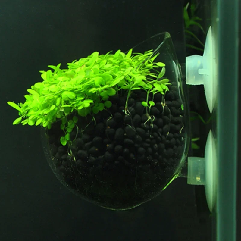 Glass Aquarium decoration Hanging fish tank Mini Crystal Pot Polka Water potted planting cylinder cup aquarium accessories