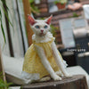 German Shorthair Cat Summer Bubble Cotton Yellow Floral Puffy Lace Heml's Dress Cats Clothes Kawaii Clothes