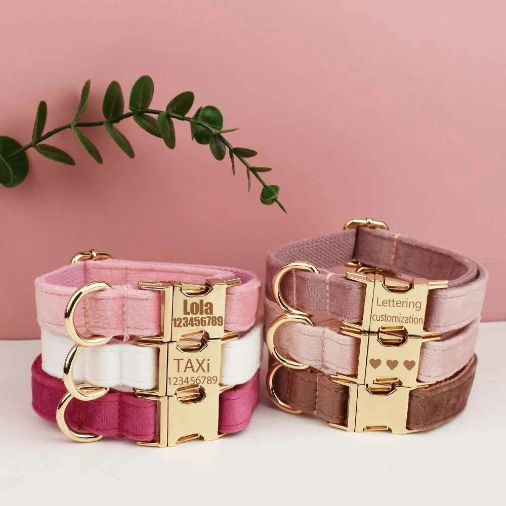 Velvet Collar Free Engrave Dog Collar Leash For Medium Big Pet Necklace Dog Accessories Dog Collars