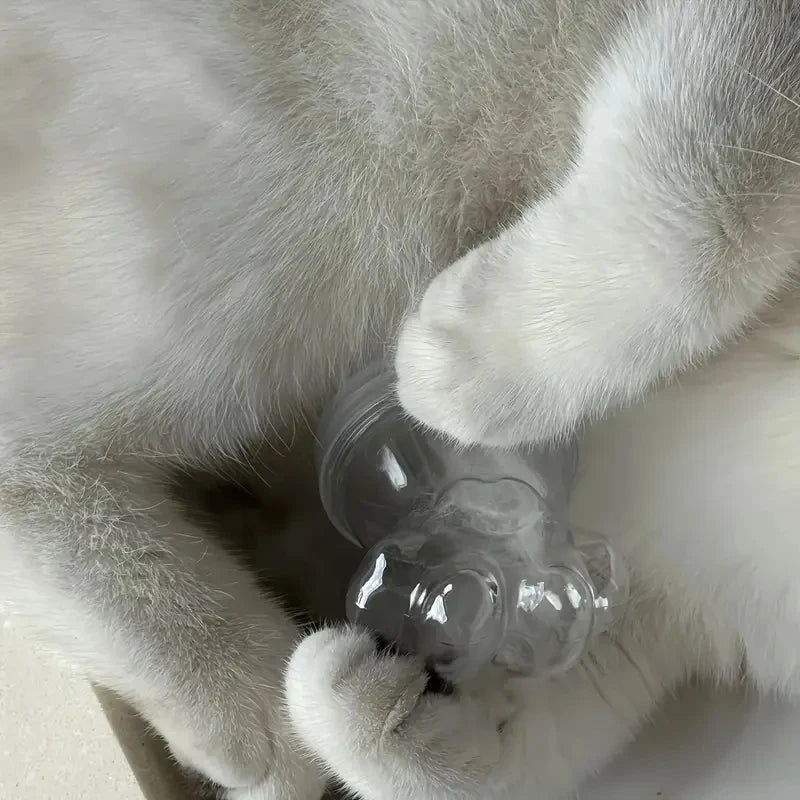 Transparent Pet Fur Keepsake Bottle Pet Cat Hair Storage Jar Kawaii Cat Paw Shape Candy Jars  Multi-purpose Pet Memorial Gift - Play Paws Toys