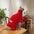 Fleece Coat for Sphynx Cat Warm Sweatshirt 4-legged Jumpsuit for Kittens Dogs soft Loungewear for Male Cat Devon Rex Sweater - Play Paws Toys
