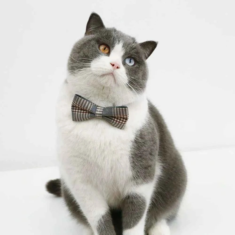 Pet Accessories for Dogs Cats Bowtie British Style Puppy Plaid Tie Breakaway Bowknot Collar for Small Dog Cat Gentleman Costume