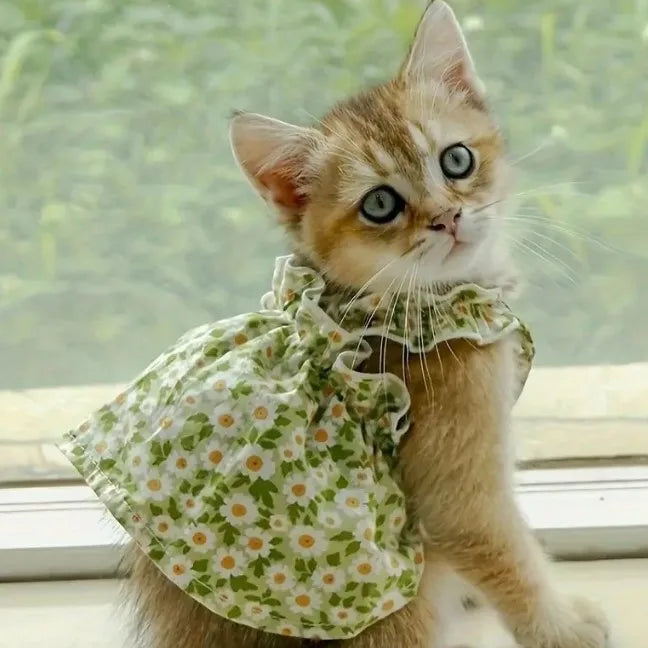 1 Pc Pet Dress Dog&Cat Summer Dress  Yomantic Floral Pattern Suitable For Birthday Wedding Party Outfits