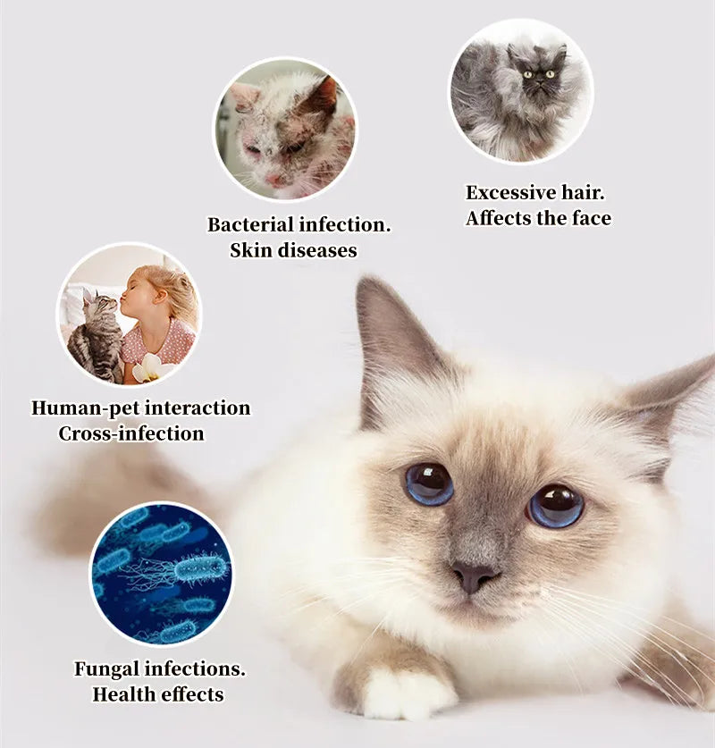 Cat Comb Dog Hair Remover Brush UVC Sterilization Pet Grooming Slicker Needle Comb Removes Tangled Self Cleaning Pet Supplies