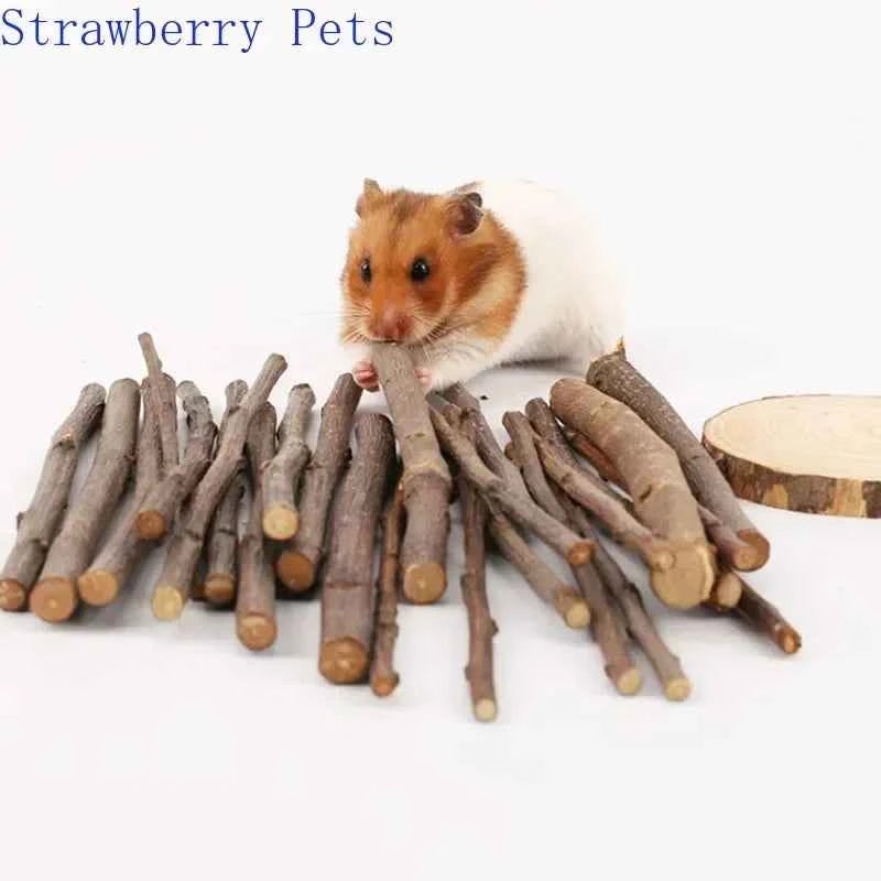 5pcs 10pcs 40pcs Chew Stick Apple Tree Branch Hamster Squirrel Natural Toys Parrots Rabbits Grinding Stick