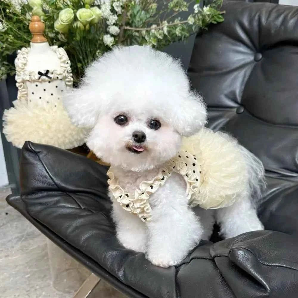 Cute Breathable Puppy Slip Dress Lace Hem Summer Pet Princess Dress Adorable Skin-friendly Dog Puffy Dress for Small Dog Cat