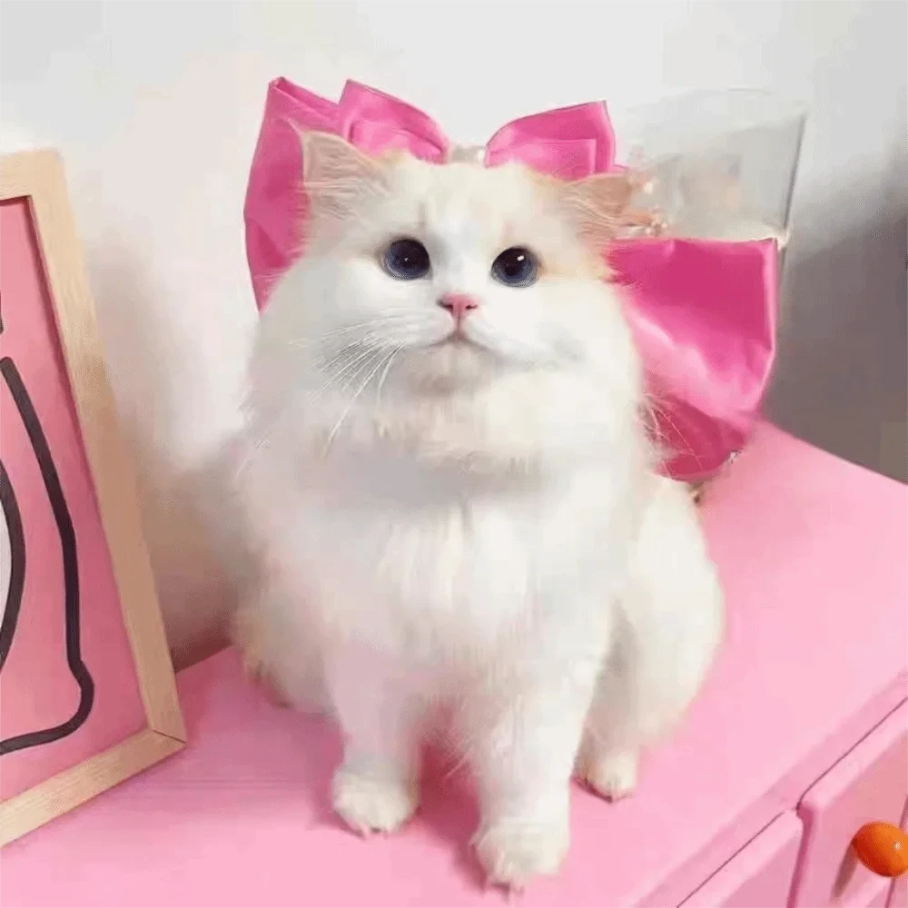 Fashion Adjustable Cat Bow Headwear Formal Decorative Pet Necklace Elegant Decorative Bowtie Wedding Party