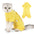 Cat Surgical Recovery Suit for Male Female Cat,Abdominal Wounds Cone E-Collar Alternative Anti-Licking Pet Recovery Suit