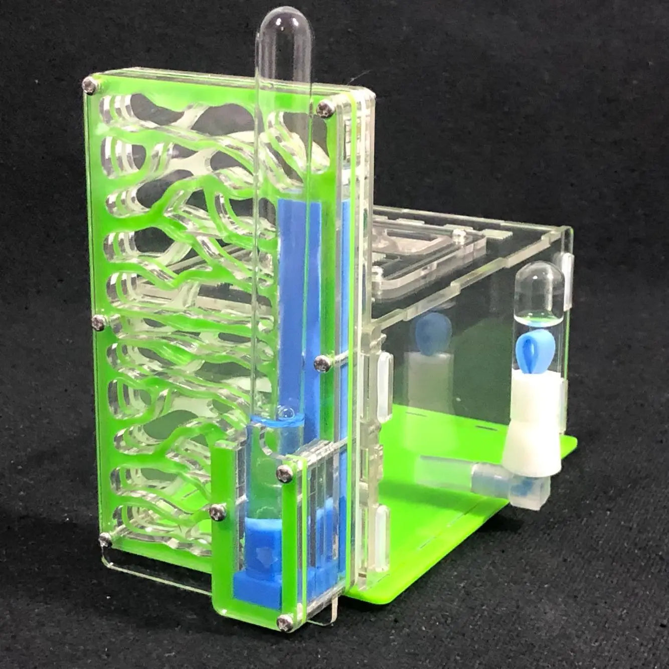 T design DIY  with feeding area ant nest ,ant farm acryl,insect ant nests villa pet mania for house ants