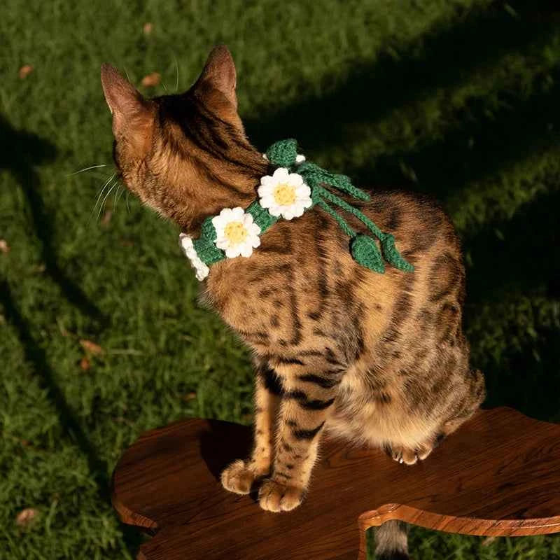 Hand-knitted Pet Necklace Cat Decoration Cute Daisy Flower Necklace Dog Accessories Suitable for Pet Photo Taking