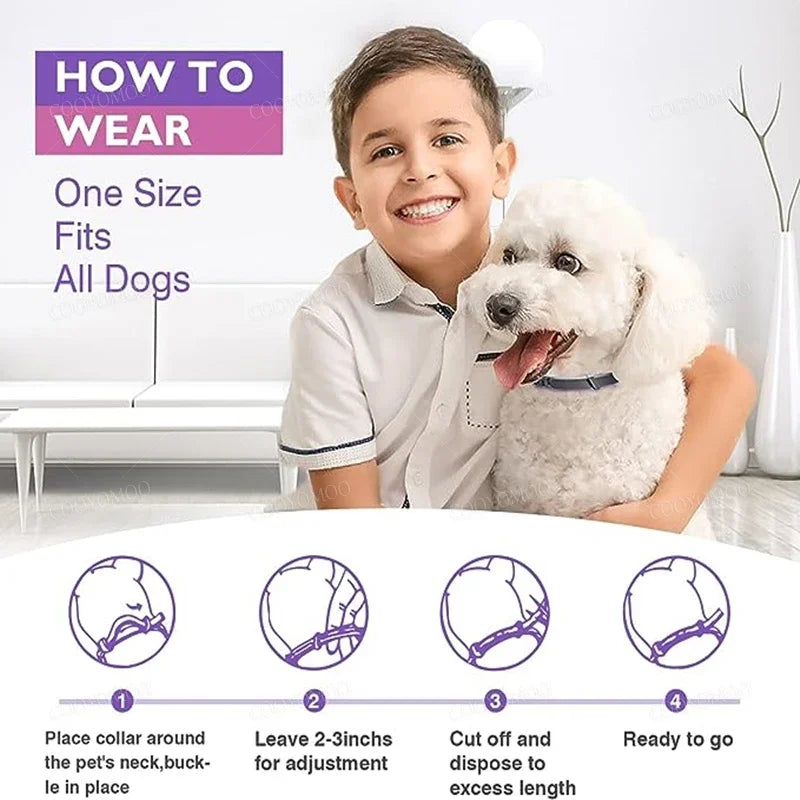 New Release Dog Calming Pheromone Collar cat Relieve Anxiety Adjustable Comfortable Collar For Puppy Kitten Large Dog Accessorie