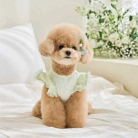 Pet Supplies Lace Pet Summer Vest Soft Flying Sleeve Cat Base Skirt Breathable Dog Clothes Puppy