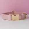 Velvet Collar Free Engrave Dog Collar Leash For Medium Big Pet Necklace Dog Accessories Dog Collars