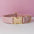 Velvet Collar Free Engrave Dog Collar Leash For Medium Big Pet Necklace Dog Accessories Dog Collars