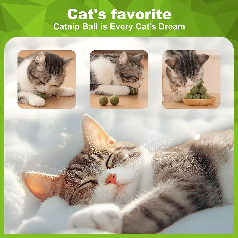 Organic 100% Natural High Quality Catnip Cattle Grass Mint Taste Funny Cat Toy New Cat Toy Interactive Cat Toys Pet Supplies