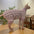 Sphynx Cat Turtleneck Winter Green Sweater Hairless Cat Clothes Thick Warm 4-legged Coat Purple Fleece Jacket for Devon Rex - Play Paws Toys