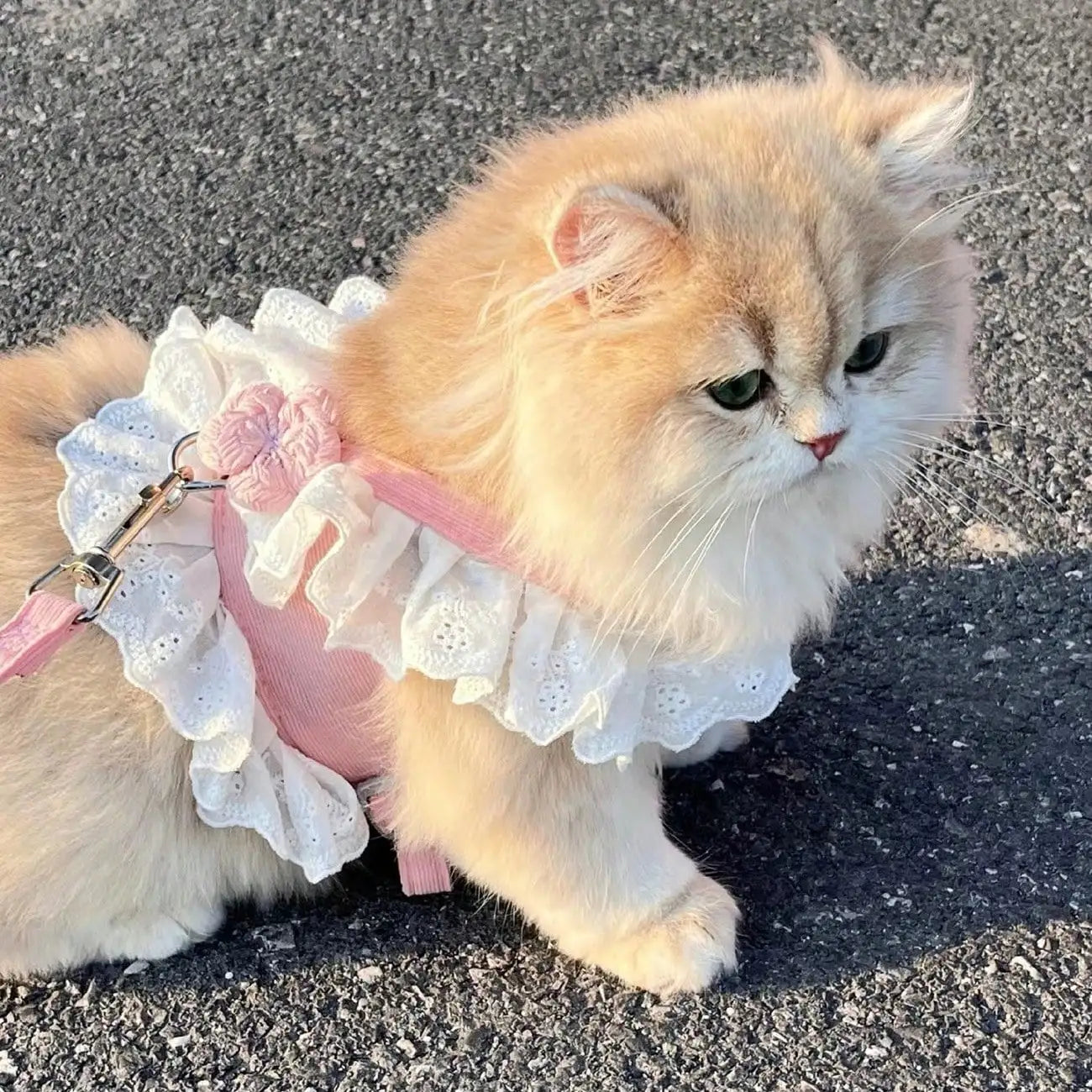 Floral Lace Pet Harness Dress with Leash, Ruffle Edge Vest Outfit for Small Dogs and Cats, Breathable Walking Harness