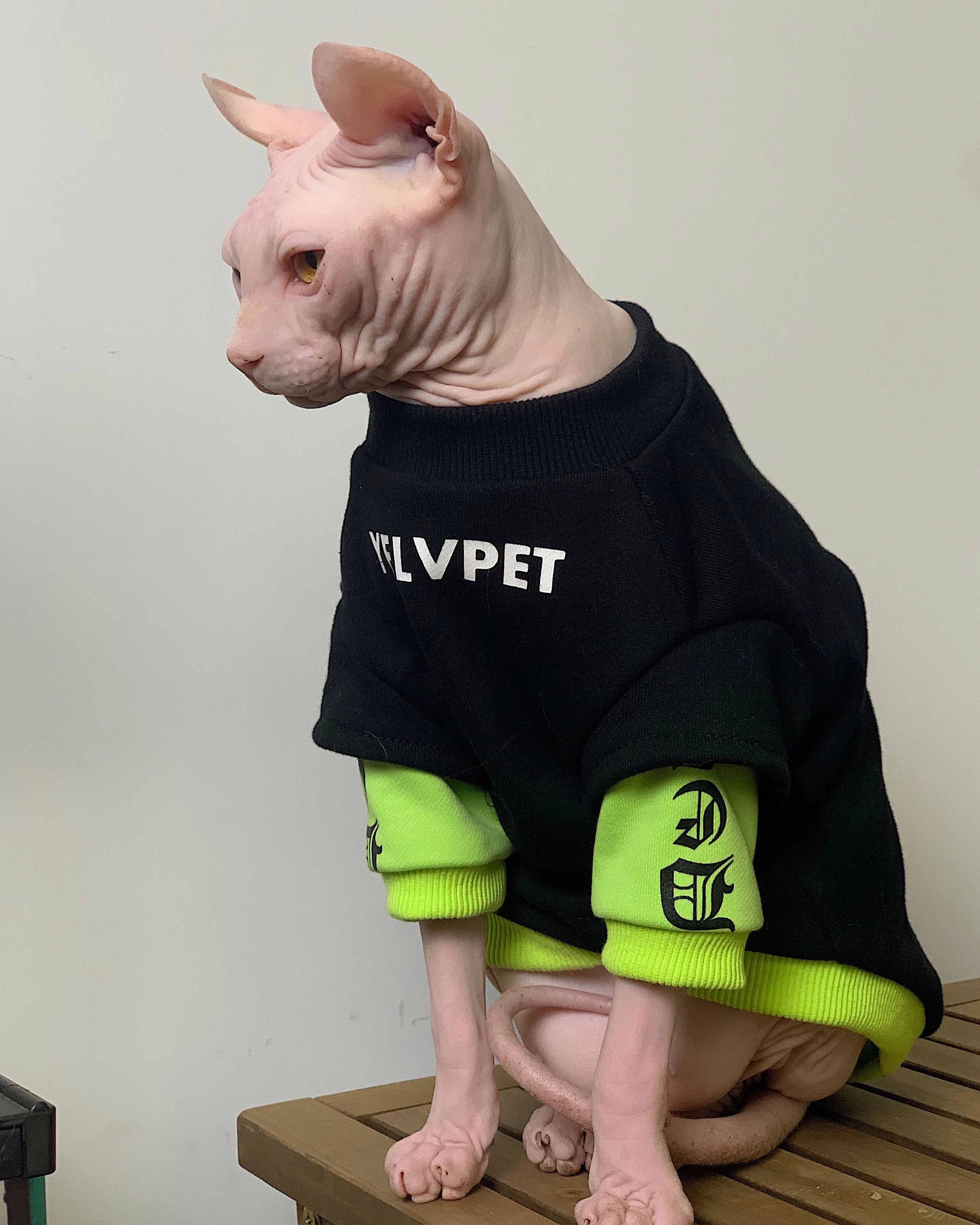 Fashion Cotton Sweatshirt for Sphynx Cat Clothing Winter Thick Long Sleeves Coat For Devon Rex Soft Loungewear For Kittens - Play Paws Toys
