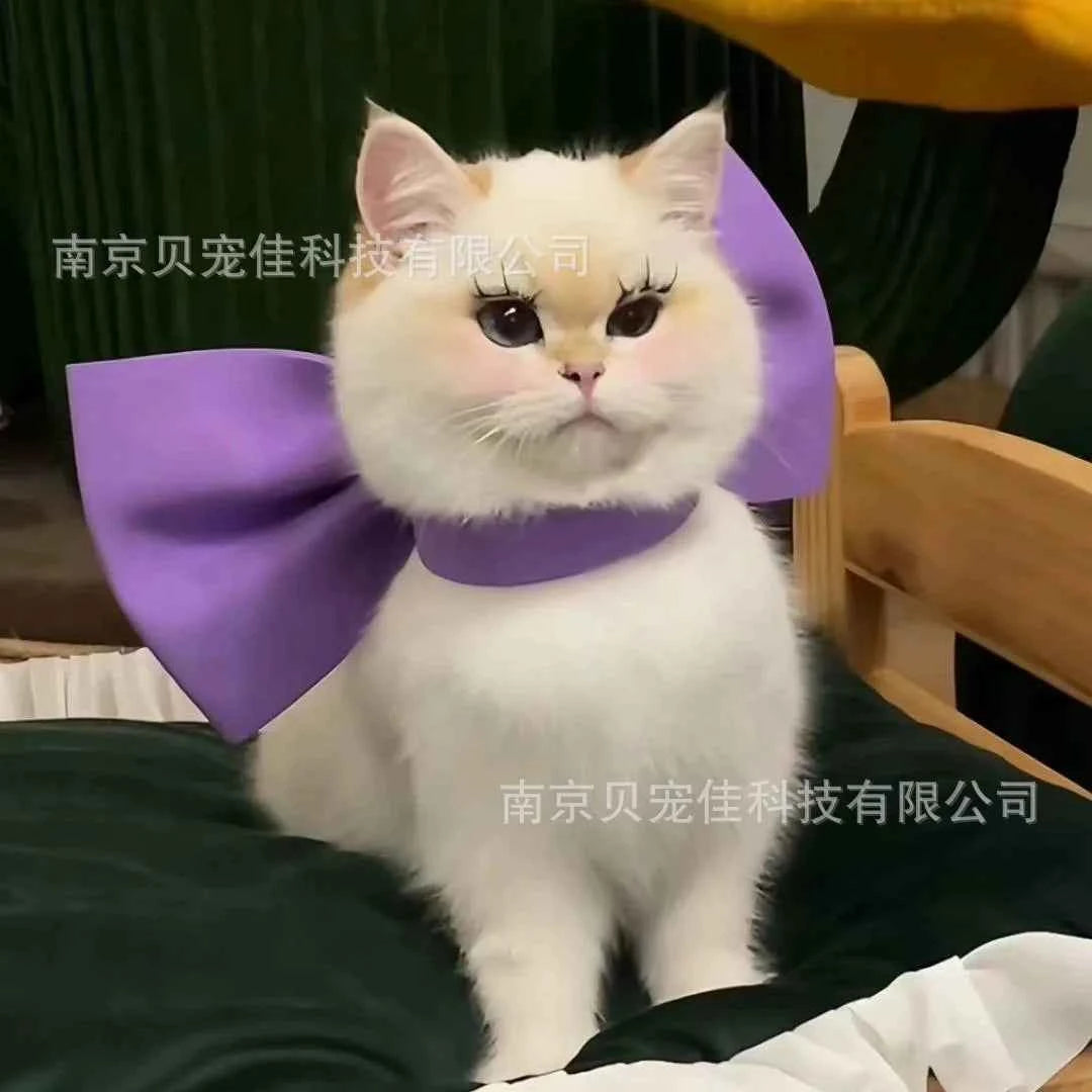 Mary Cat Bow Tie Pet Collar Scarf Cat Necklace Decoration Bichon Puppy Leash Toy Cat Home Garden Pet Supplies Accessories