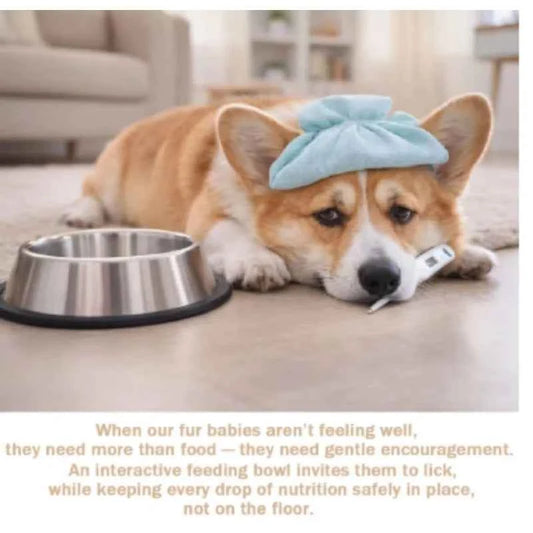 Slow Feeder Dog Bowls for Liquid Treat, 【Enrichment Ball-Roll】 Bone Broth Dog Lick Bowl, 3/4 Cup Yogurt Pup Lick Toy