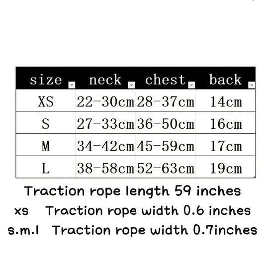 Harness for Cats Collar, Harness, Leash Accessories Pets Goods Kitten Pet Products Things Breast-band Supplies Kittens - Play Paws Toys