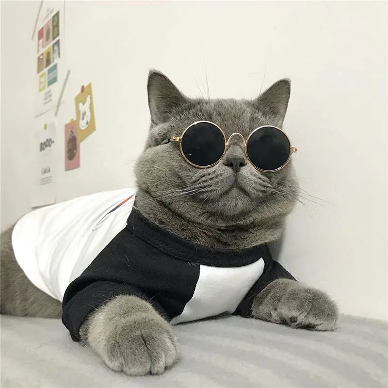 Puppy Dog Sunglasses Anti-skid Round Metal Cat Classic Retro Sunglasses Hippie Cute and Funny Pet Glasses Cosplay Party Costume