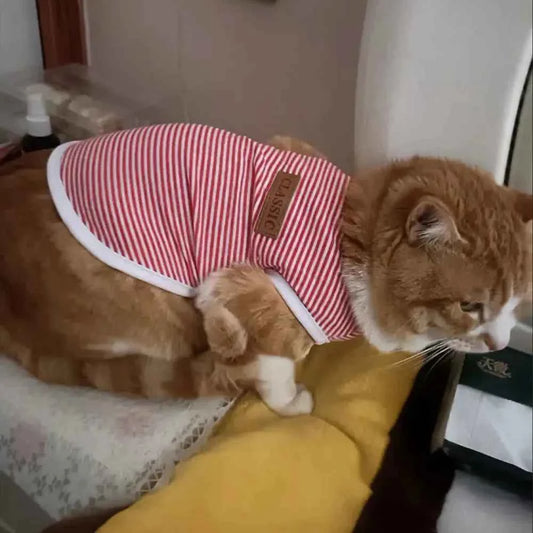 Summer Cat Dog Vest Classic Stripes Pet Sleeveless T-shirt for Small Dogs Cats Kitten Sphynx Clothing Outfit ropa para gatos