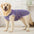 Summer sleeveless vest for medium and large dogs, summer pet pajamas and home clothes, which can be applied to various medium an