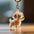 Dog Cat Hair Storage Pendant Keychain Box Couple Car Key Chains Jewelry Souvenir Pet Lover Keepsake Memorial Keychain Gift Decor