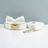 Velvet Collar Free Engrave Dog Collar Leash For Medium Big Pet Necklace Dog Accessories Dog Collars