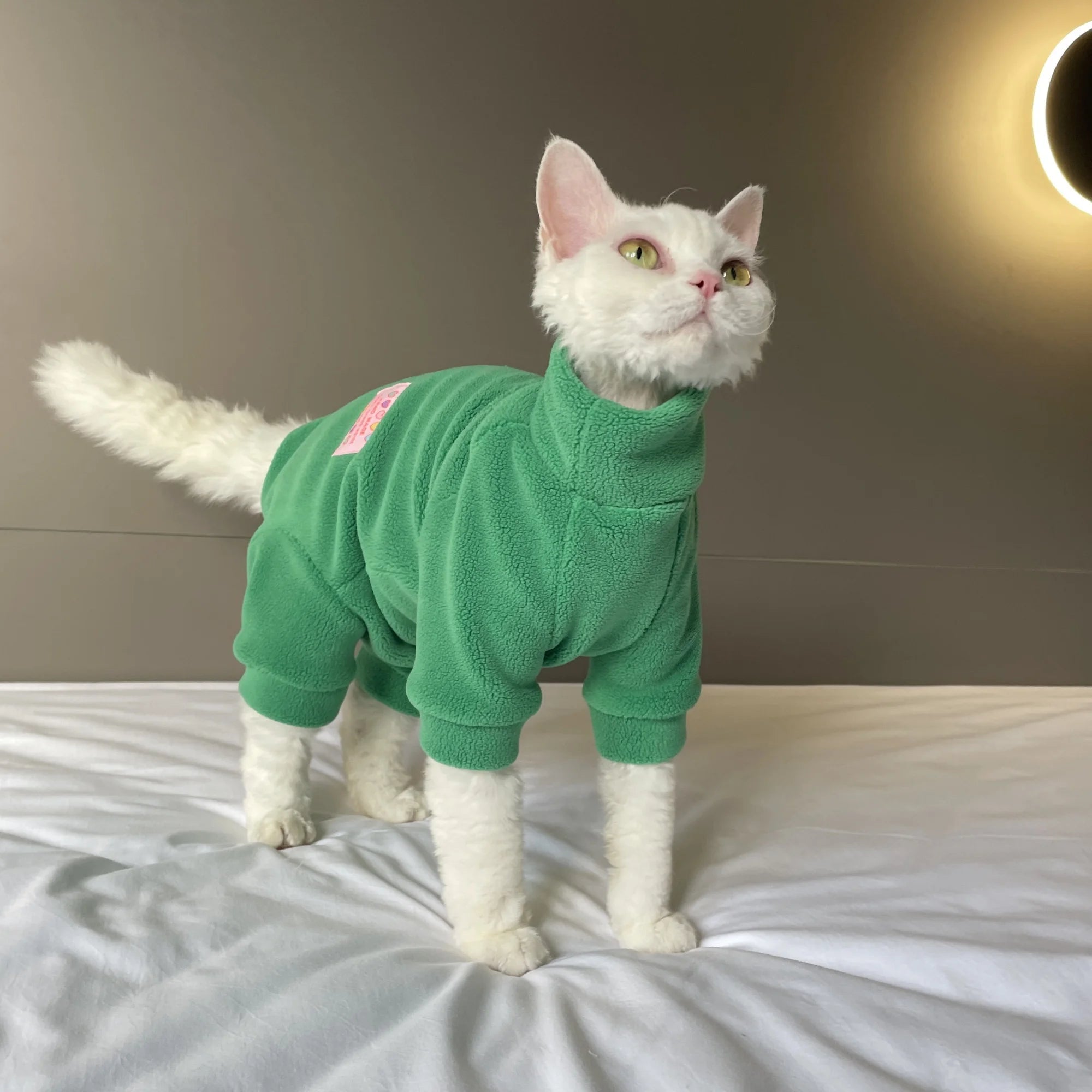 Fleece Coat for Sphynx Cat Warm Sweatshirt 4-legged Jumpsuit for Kittens Dogs soft Loungewear for Male Cat Devon Rex Sweater - Play Paws Toys