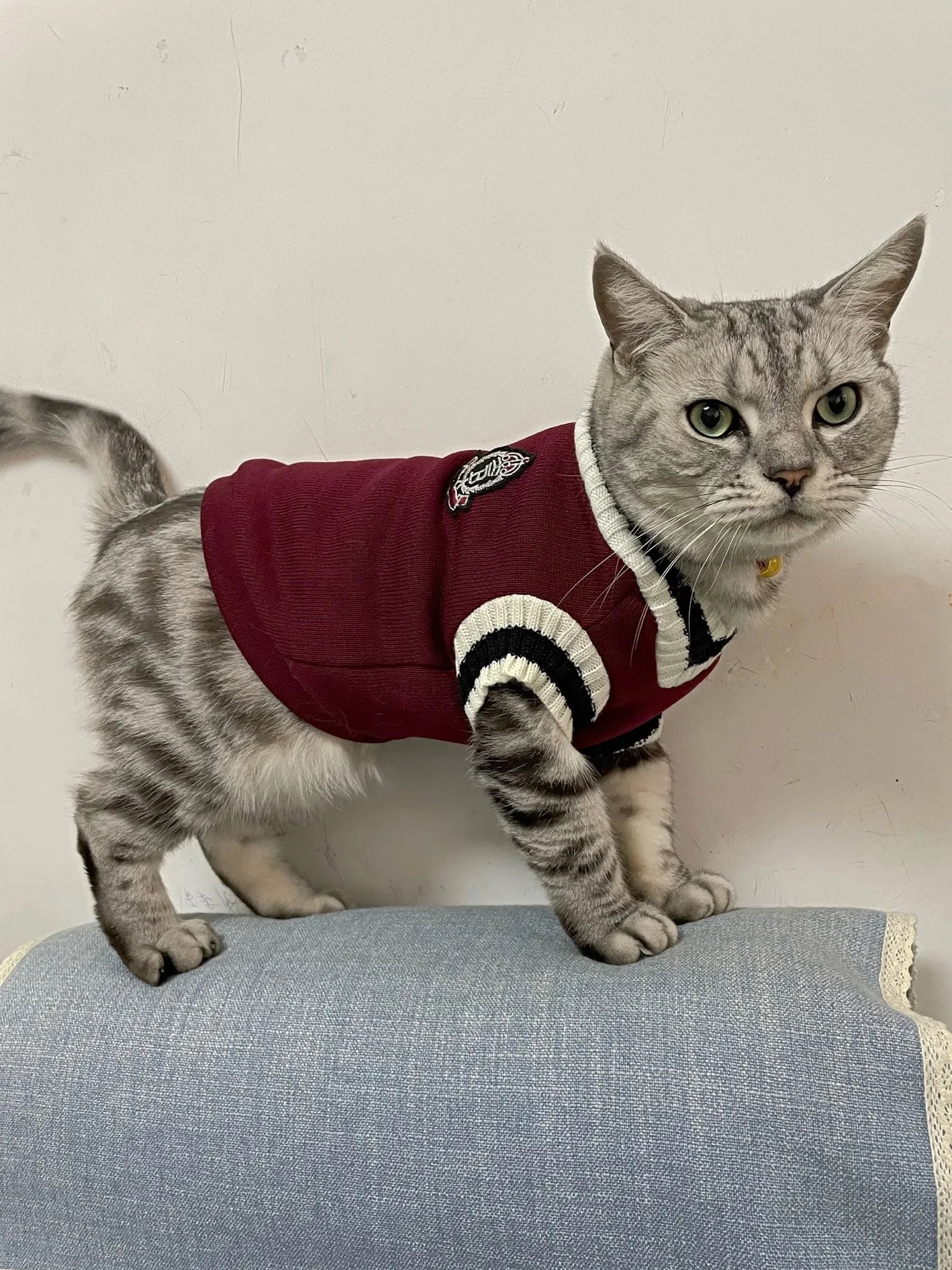 Autumn Winter Pet Cat Dog Sweater Warm Coat For Small Medium Large Dogs Kitten Pullover Puppy Vest Warm Pet Clothes Cat Costume - Play Paws Toys