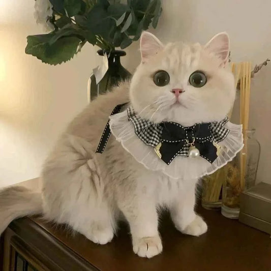 Cute Dog Collar Lace Bowknot Pearl Cat Necklace Sweet Neck Decoration Elegant Gentle Puppy Necktie Kitten Bibs Pet Supplies